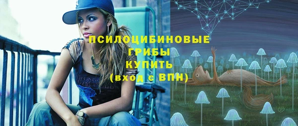 прущие крисы Алексин