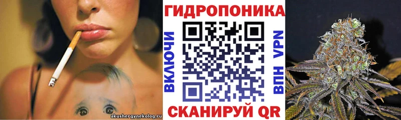 наркошоп  Красково  Шишки марихуана VHQ 